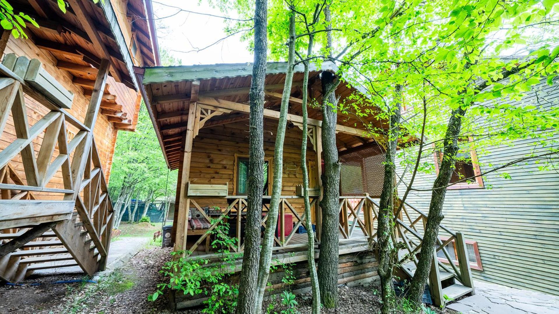 Abant Korudam Bungalov Butik Otel Exteriér fotografie
