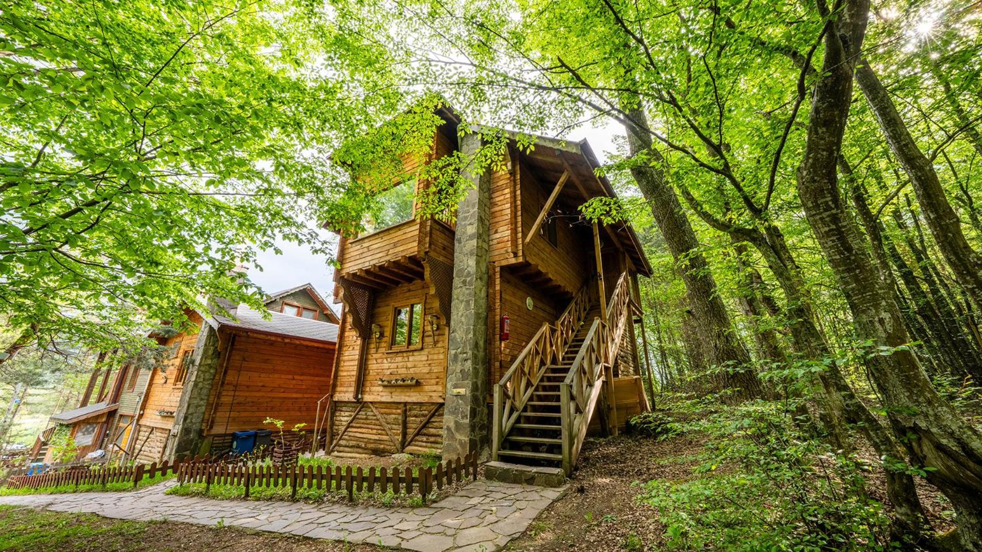 Abant Korudam Bungalov Butik Otel Exteriér fotografie